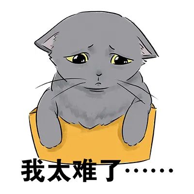 DƬ